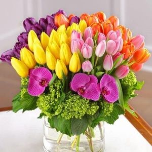 Meet your Posher, Leslie